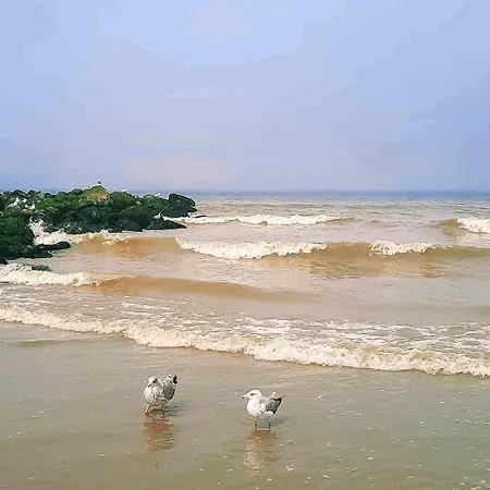 Residentie Amadeus Met Garage-lift Apartment *