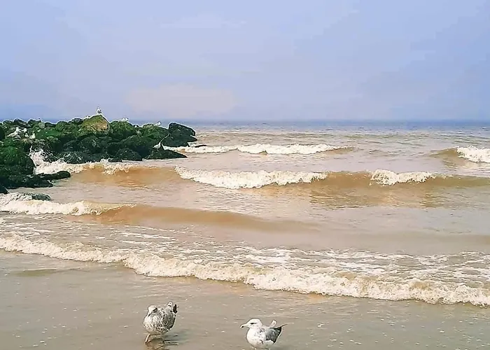 Residentie Amadeus Met Garage-lift Apartamento *