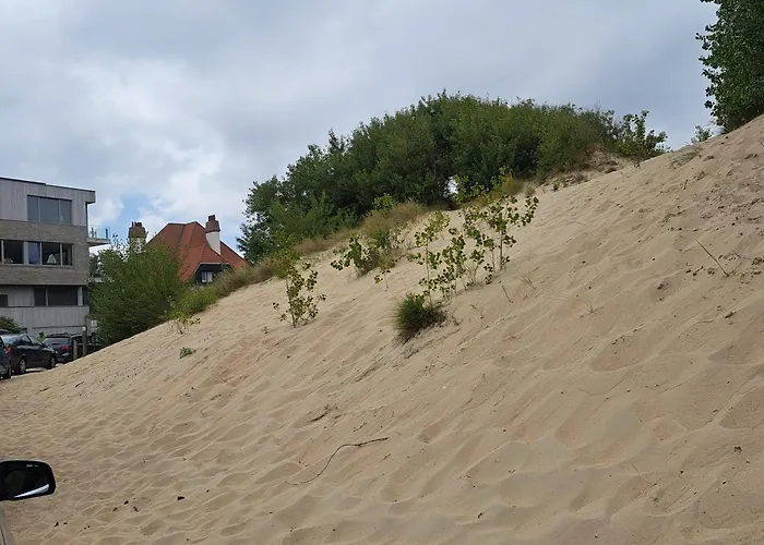 Residentie Amadeus Met Garage-lift Sint-Idesbald